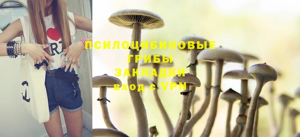экстази Алексин