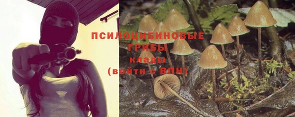 метадон Алексеевка