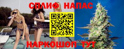 тгк Можга