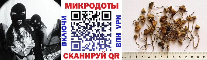 shop наркотические препараты  Канск  Псилоцибиновые грибы прущие грибы 