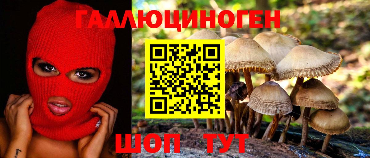 Канск  Галлюциногенные грибы Psilocybine cubensis  Галлюциногенные грибы прущие грибы  Вход с VPN 